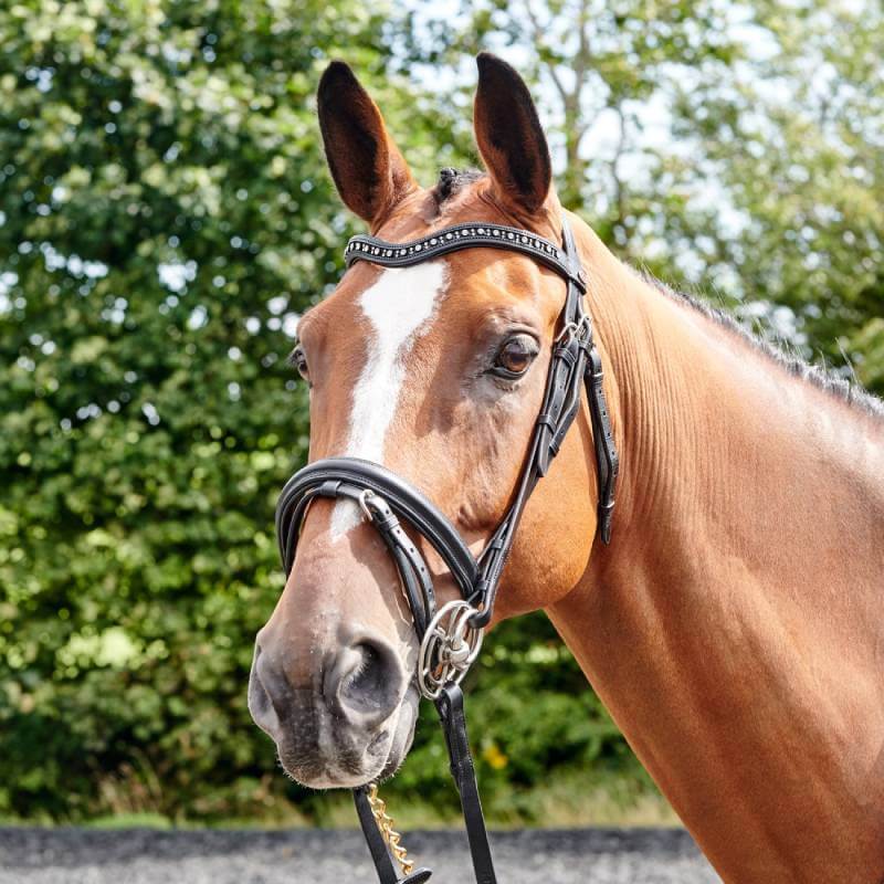 John Whitaker Lynton Flash Bridle-Pet n Pony-Whitaker