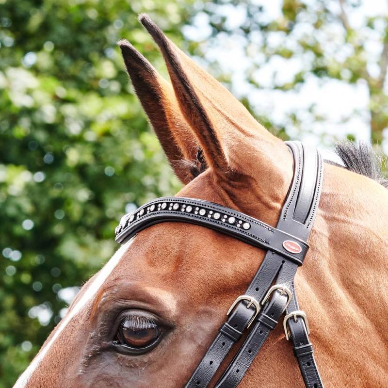 John Whitaker Lynton Flash Bridle-Pet n Pony-Whitaker