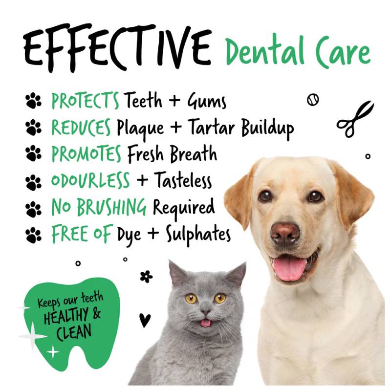 Bugalugs Dental Care Water Additive for dogs & cats removes plaque, no brushing needed.