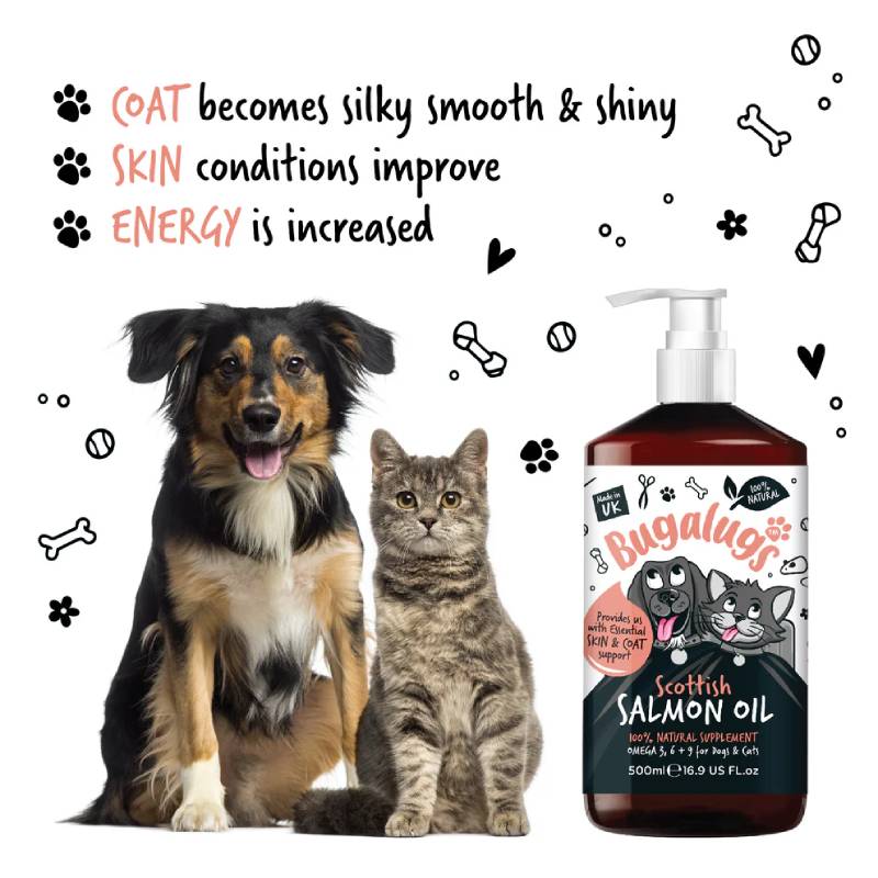 A dog, a cat, and Bugalugs Scottish Salmon Oil for Dogs & Cats 500ml for skin health.