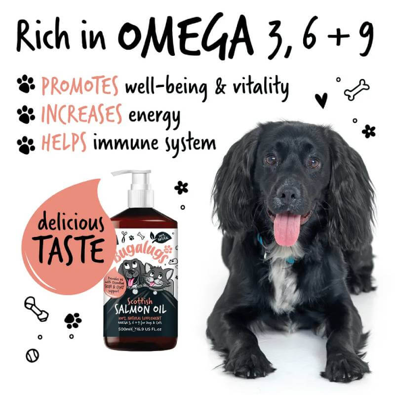Black dog beside Bugalugs Scottish Salmon Oil for Dogs & Cats; promotes healthy skin and coat.