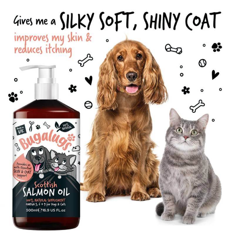 Bugalugs Scottish Salmon Oil for Dogs & Cats 500ml supports healthy skin and coat.
