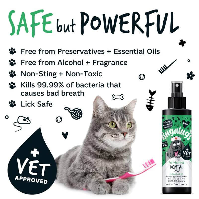 Gray cat with pink toothbrush beside Bugalugs Anti-Bacterial Dental Spray for Dogs & Cats 200ml.