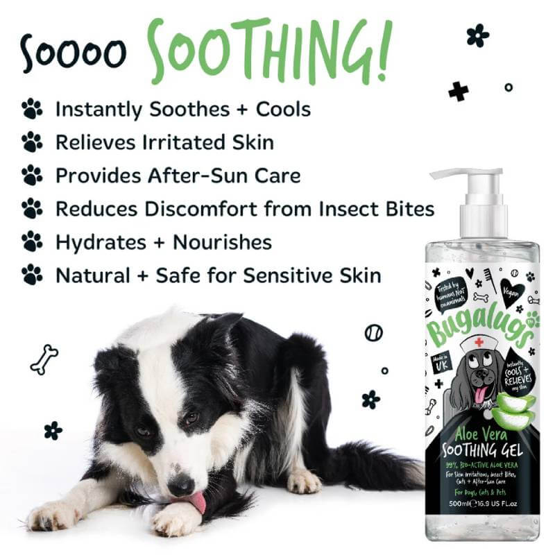 Border Collie beside Bugalugs Aloe Vera Soothing Gel for Dogs & Cats 250ml, for irritated skin.