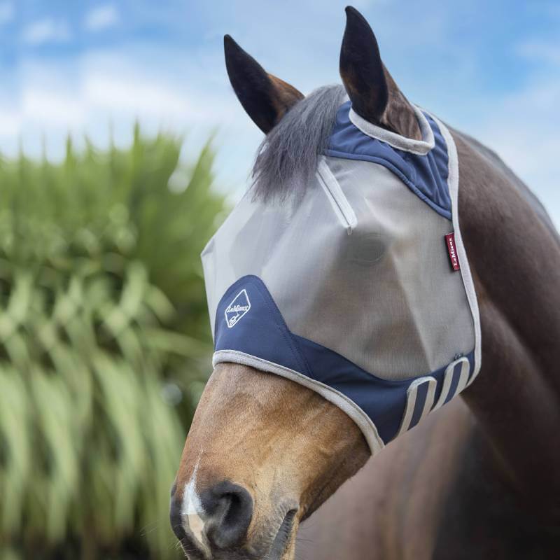 A horse in a LeMieux Armour Shield Pro Standard Fly Mask Navy stands outdoors near plants.