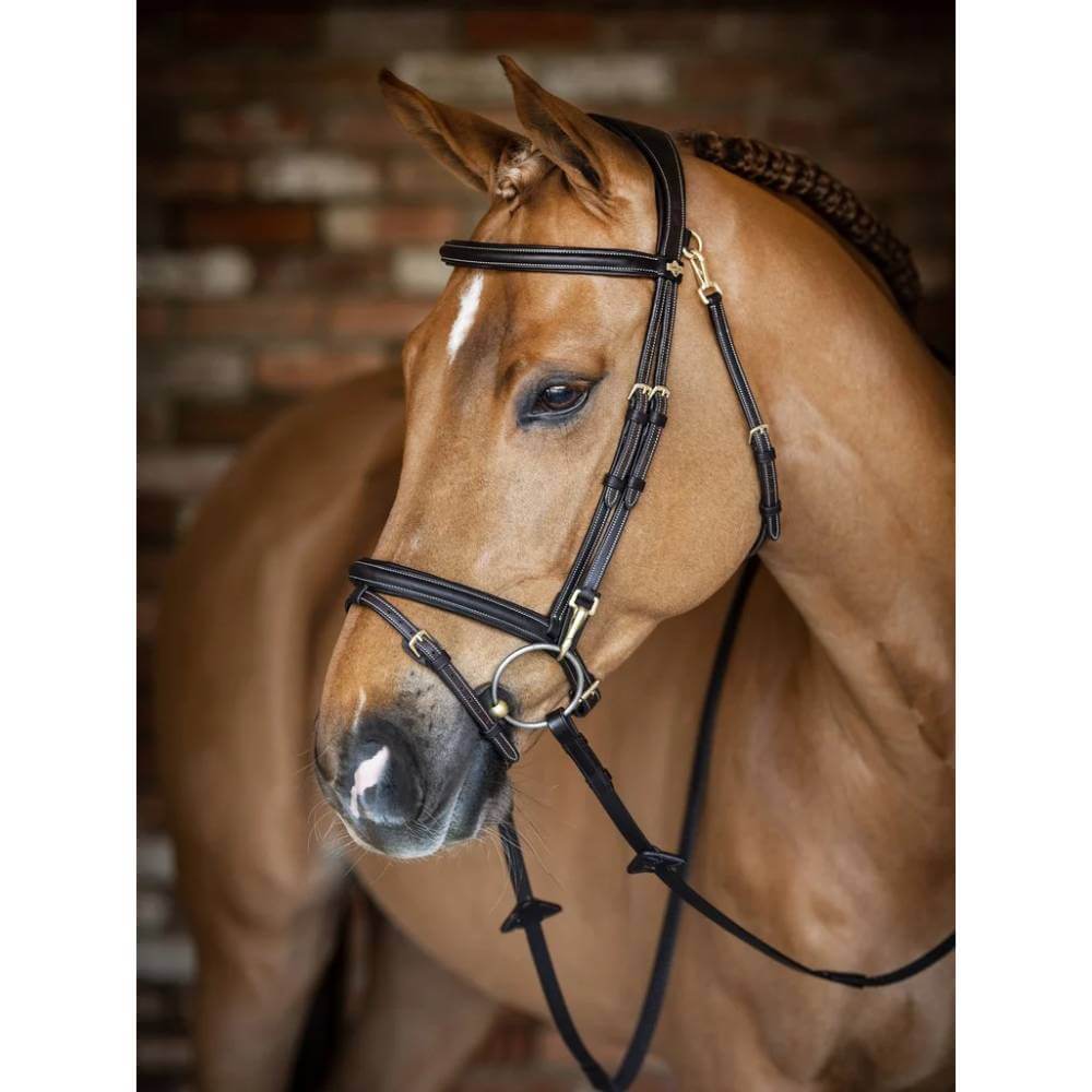 LeMieux Work Bridle Brown