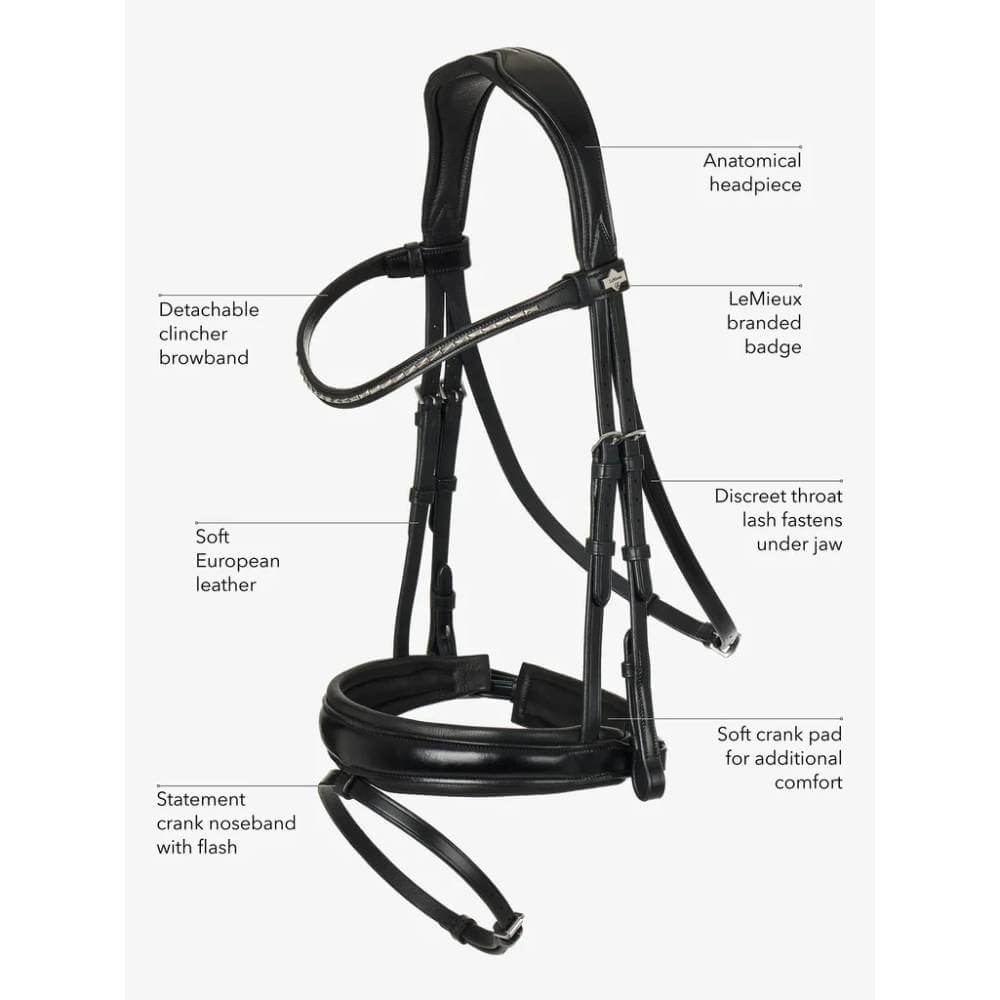 LeMieux Classic Dressage Bridle Black-Pet n Pony-LeMieux