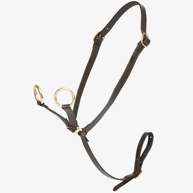 LeMieux Toy Pony Martingale Brown by LeMieux with brass rings and buckles on white background.