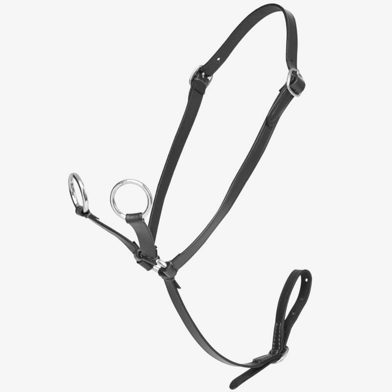 LeMieux Toy Pony Martingale Black by LeMieux with metal rings on a white background.