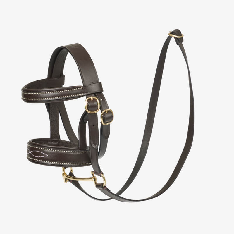 LeMieux Toy Pony Bridle Brown with brass buckles and white stitching on white background.