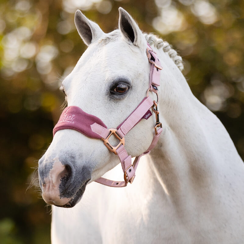 Lemieux Mini Vogue Headcollar &amp; Leadrope Pink Quartz