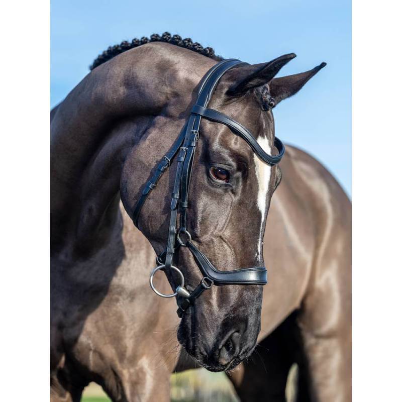 LeMieux Arika Drop Bridle Black/Silver-Pet n Pony-LeMieux