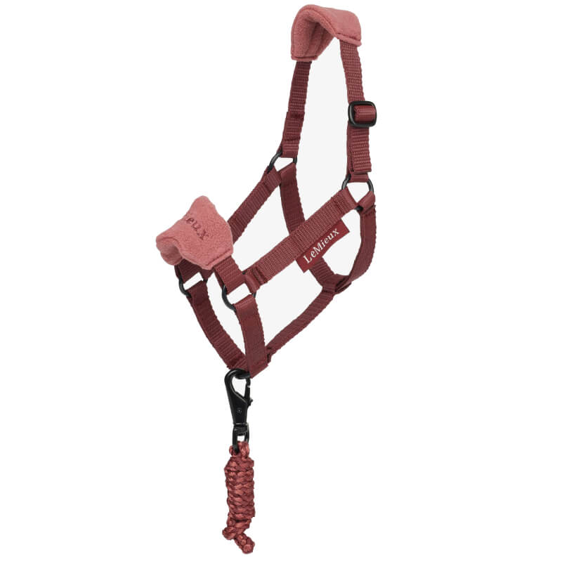 Lemieux Hobby Horse Headcollar Merlot