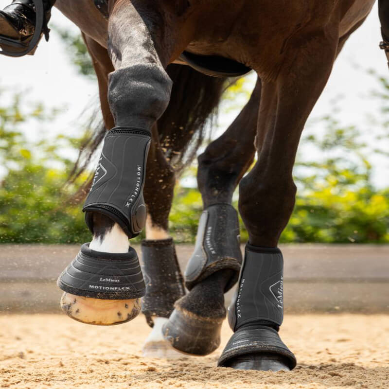 Close-up of a horse’s legs wearing LeMieux Motion Flex Dressage Boot Black on sandy ground.