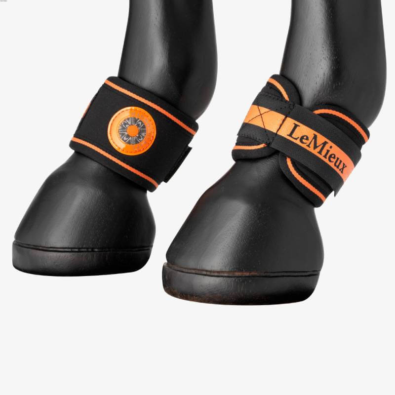 Black horse legs in LeMieux Magno Pastern Wrap Black 2pk for equine well-being.