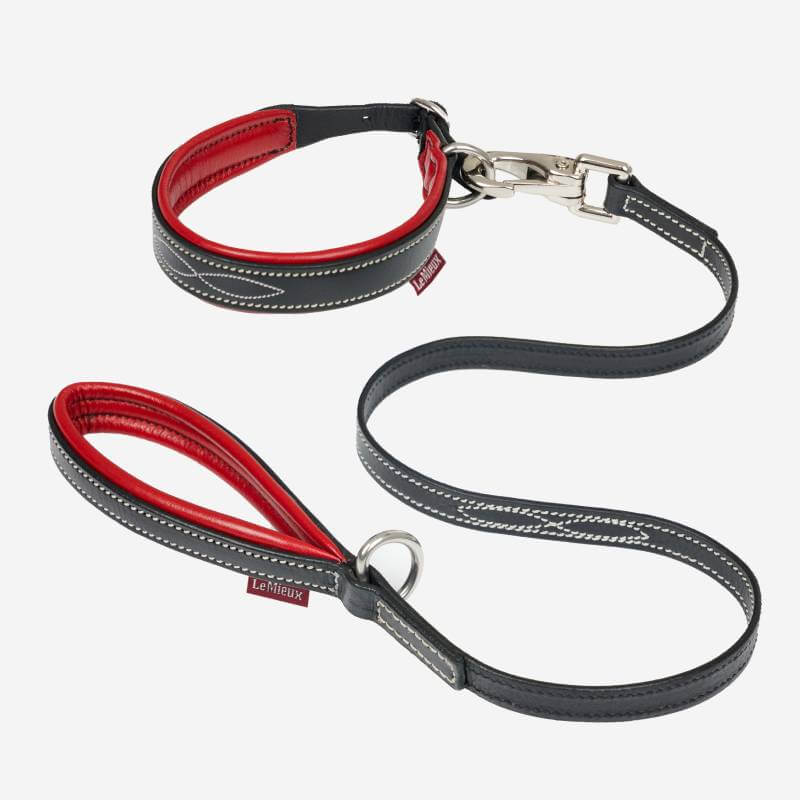 Lemieux Toy Puppy Collar &amp; Lead Chilli