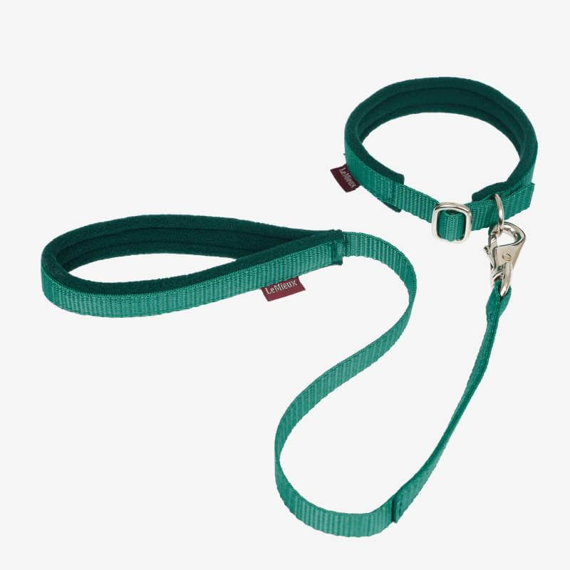 Lemieux Toy Puppy Collar &amp; Lead Evergreen