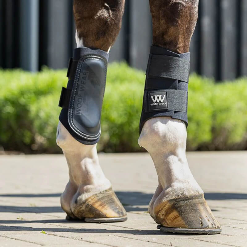 Woof Wear Club Brushing Boot 2.0 Black on horse’s lower legs on a paved surface.