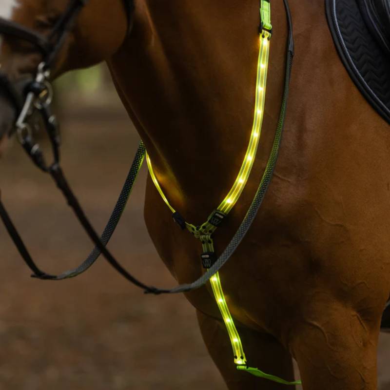 Horse wearing Woof Wear LED Neck Band Hi Vis Yellow Medium/Large outdoors.