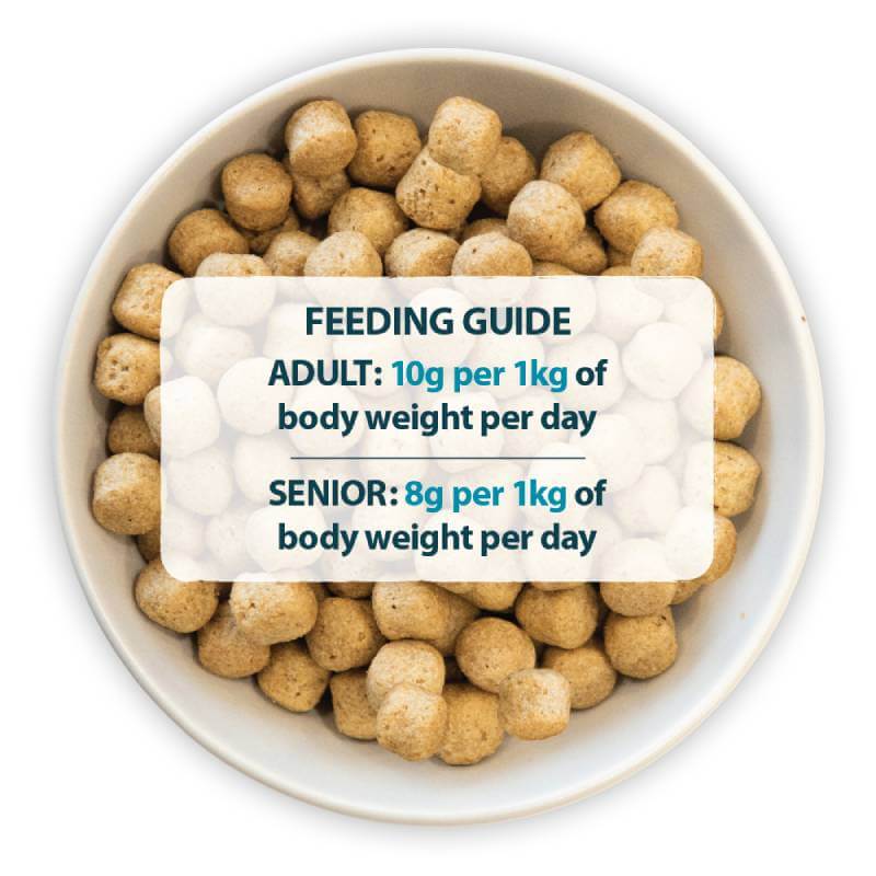 Burns Weight Control Chicken & Oats dog food supports weight management for adult & senior dogs.