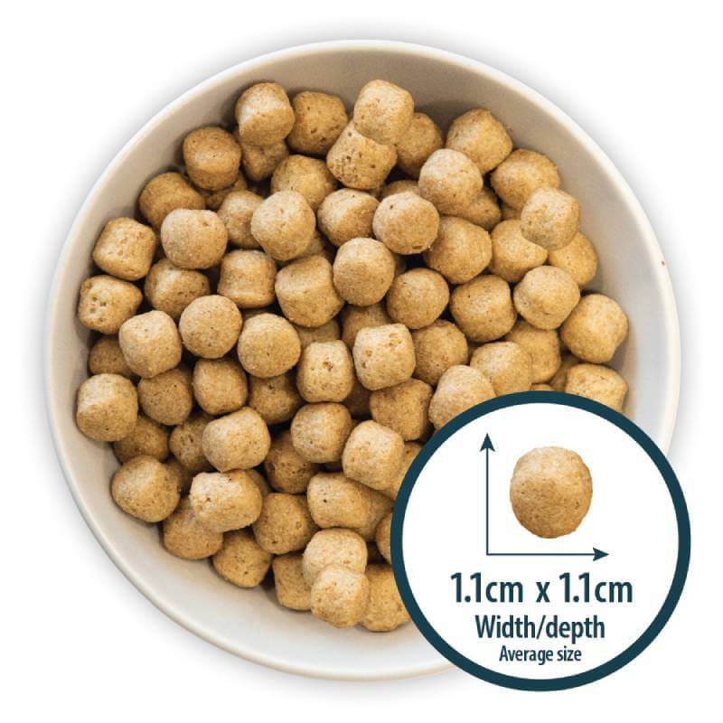 Burns Weight Control Chicken &amp; Oats kibble, 1.1 cm round pieces, by Burns.