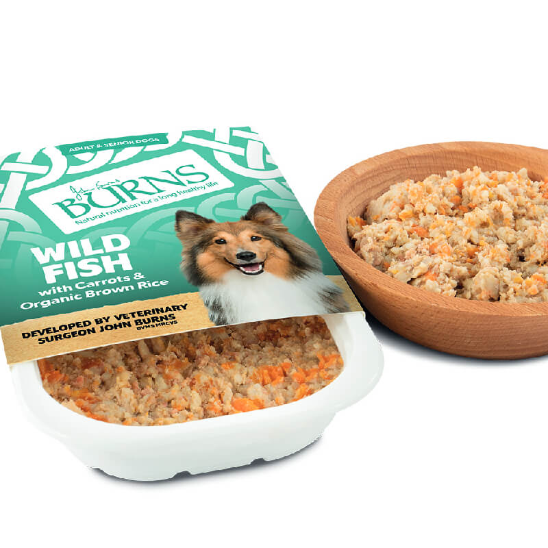 Burns Wet Doog Food Tray Wild Fish 395g
