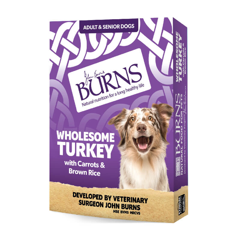 Burns Wholesome Turkey Wet Food 150g