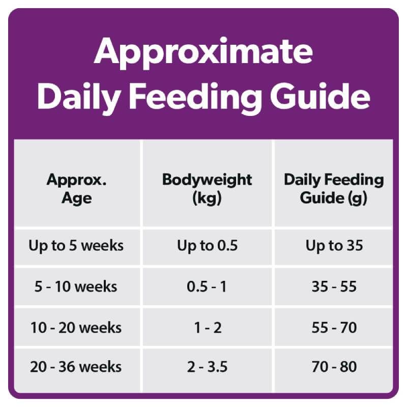 Burns Kitten Chicken &amp; Rice-Pet n Pony-Burns