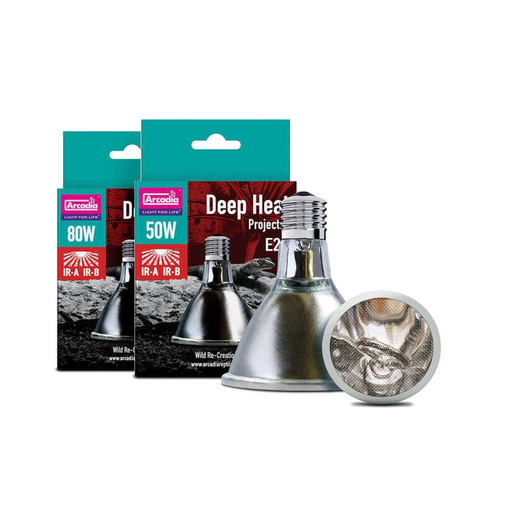 Arcadia Deep Heat Projector bulbs for reptiles, 50W &amp; 80W options shown.