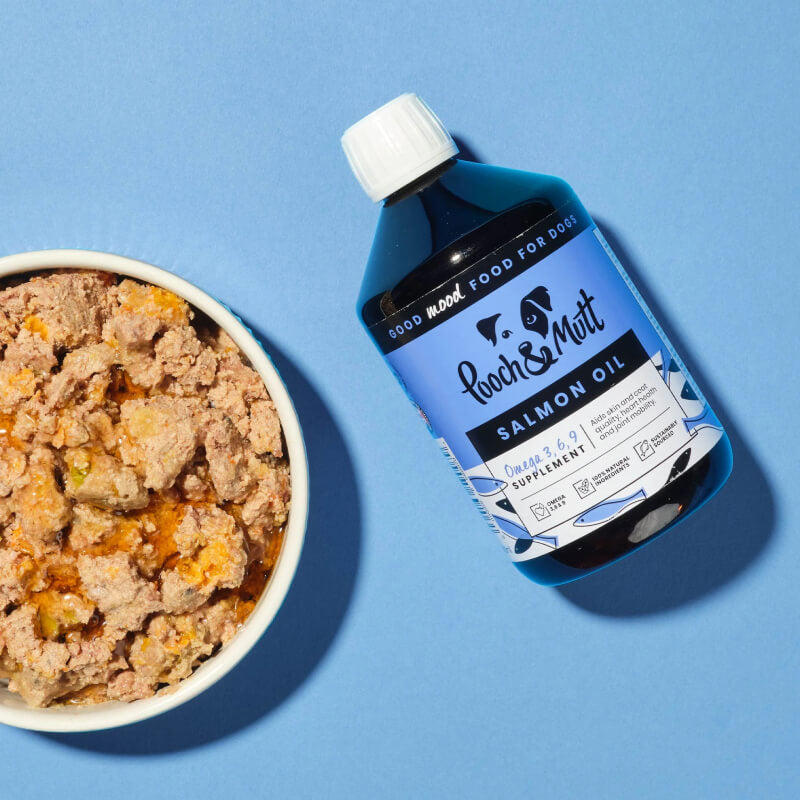 Bowl of dog food with Pooch &amp; Mutt Salmon Oil 500ml on a blue background.