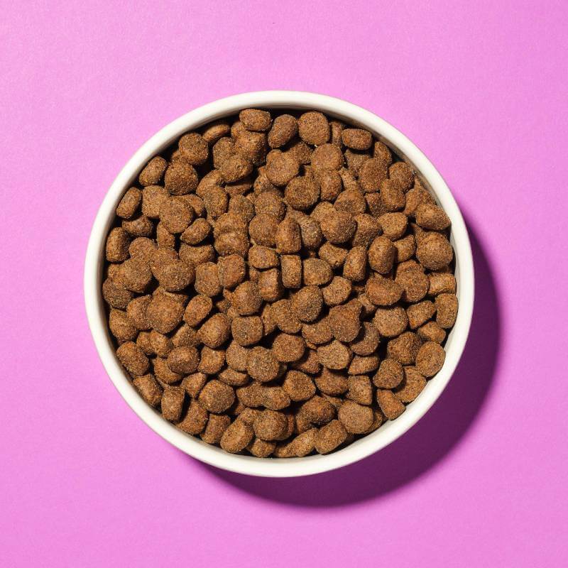 A white bowl of Pooch & Mutt Calm & Relaxed dog food on a pink background.