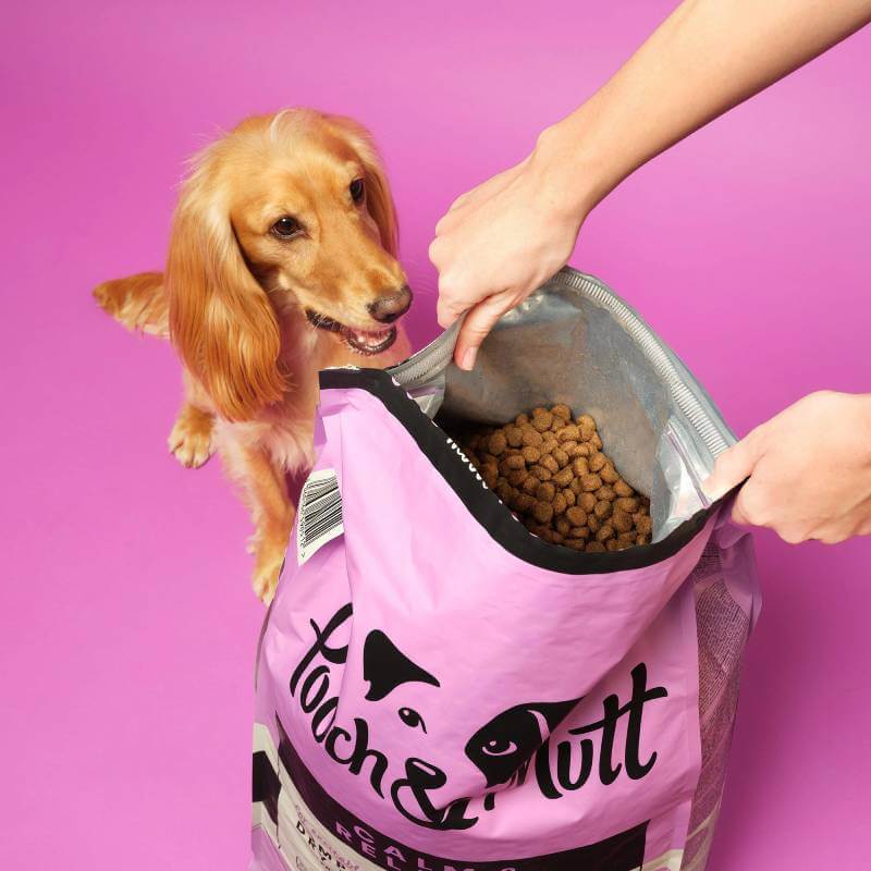 Golden dog eyes an open bag of Pooch & Mutt Calm & Relaxed Premium Dog Food on pink background.