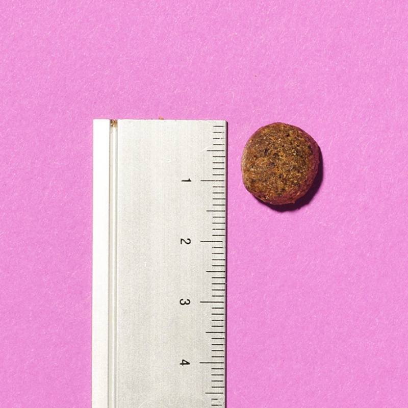 A round brown Pooch & Mutt Calm & Relaxed dog food tablet beside a silver ruler on pink.