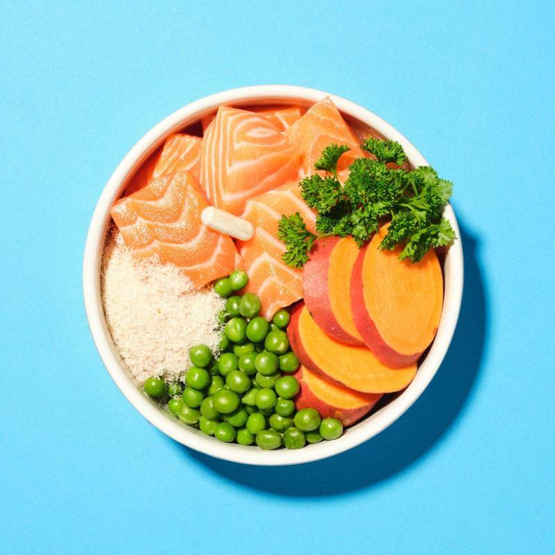 Pooch & Mutt Health & Digestion Dog Food with salmon, peas, sweet potato, parsley, and rice.