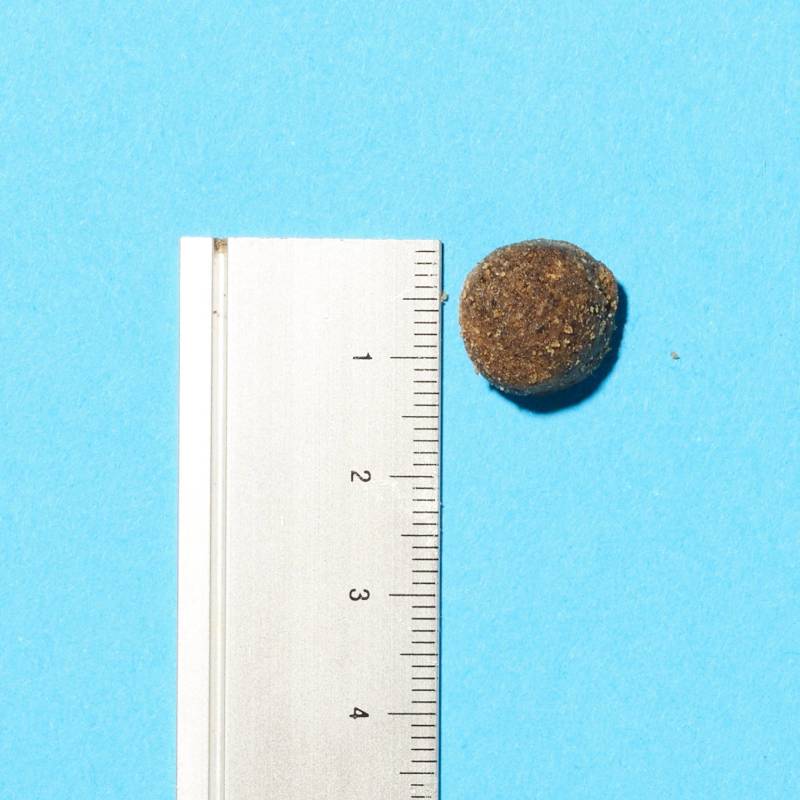 A Pooch & Mutt Health & Digestion dog food pellet beside a ruler on a blue background.