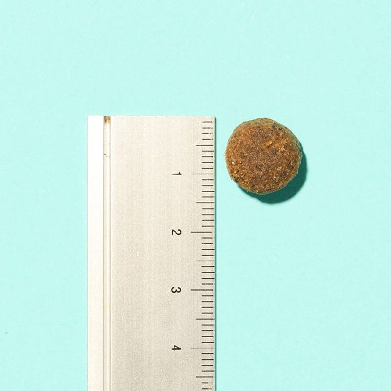 A metal ruler beside a round kibble from Pooch & Mutt Joint Care Premium Dog Food 10kg.