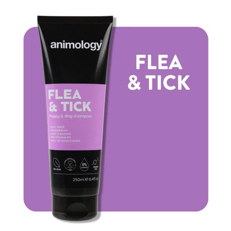 Animology Flea &amp; Tick Shampoo 250ml bottle on a purple background with text.