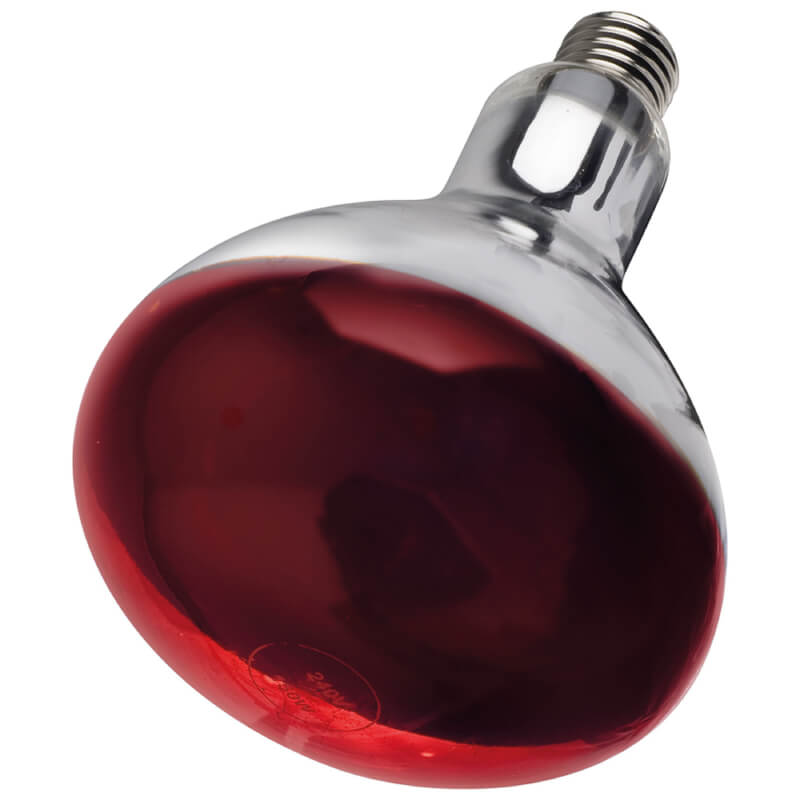 Intelec RR Infra-Red Bulb, red and water resistant, displayed on a white background.