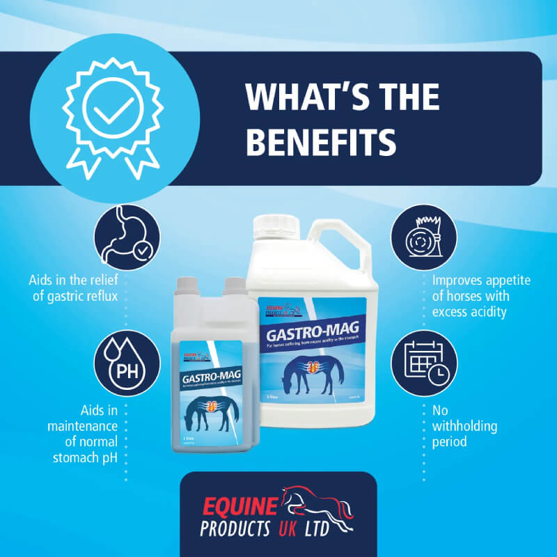 Two Equine Products Gastro-Mag 1Ltr bottles with icons for equine stomach acidity on blue background.