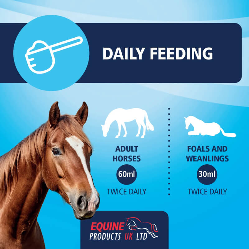Infographic: Equine Products Gastro-Mag 1Ltr—60ml adults, 30ml foals, twice daily.