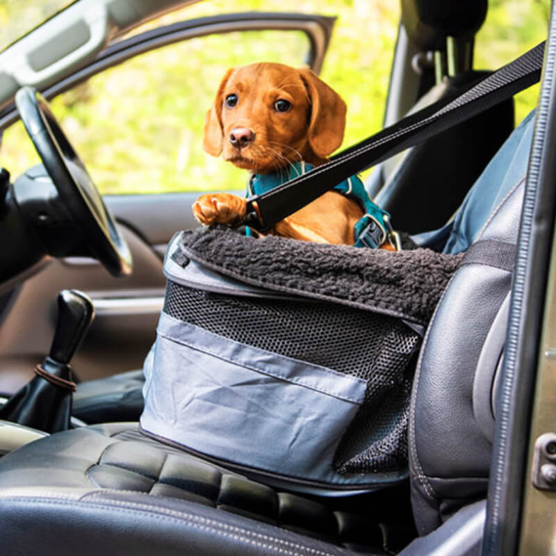 Henry Wag Pet Car Booster Seat-Pet n Pony-Henry Wag