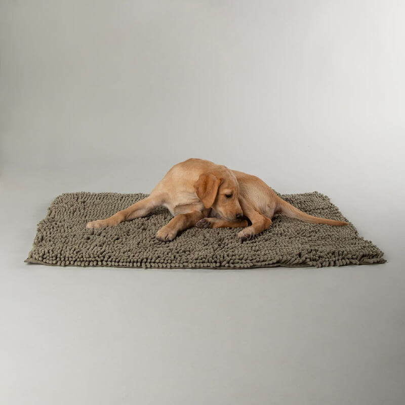 A yellow lab lies on a Scruffs Noodle Dry Mat 90x60cm, assorted colours, looking down.