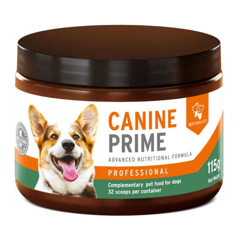 Aniforte Canine Prime 40-in-1 Superfood Supplement 115g with a happy dog on the label.