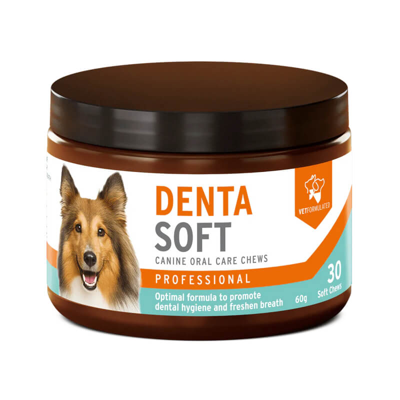 Aniforte Denta Soft Daily Dental Soft Chews for Dogs 30pk in a brown jar with dog label.