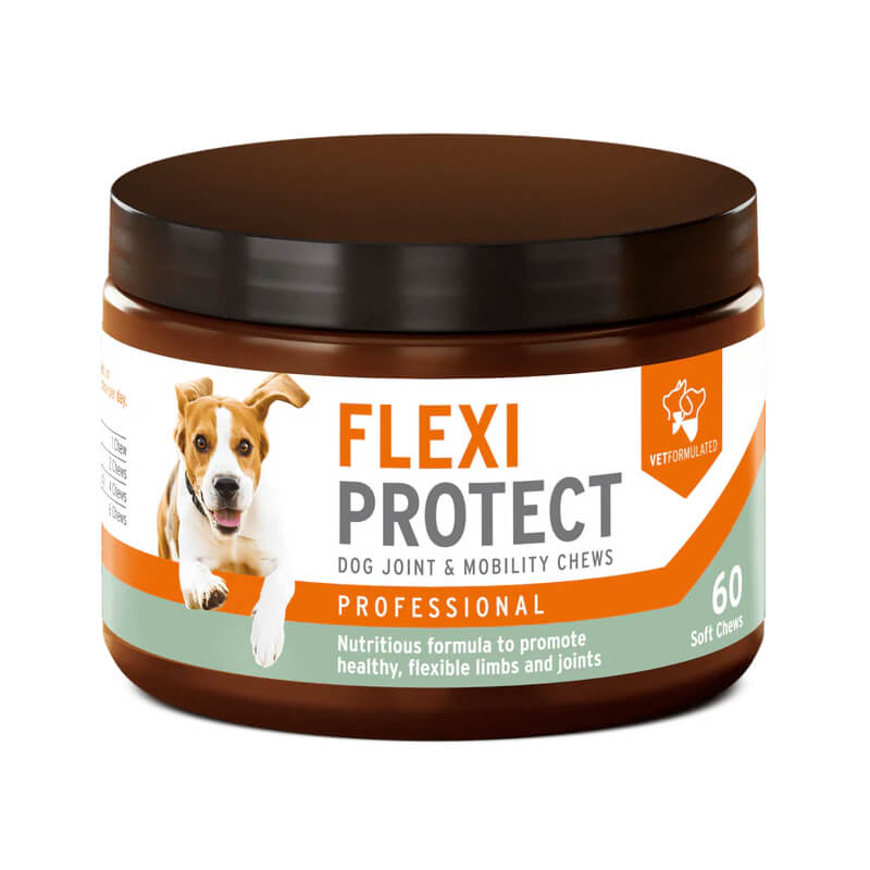 A jar of Aniforte Flexi Protect Complete Joint Support Soft Chews for Dogs, 60 chews.
