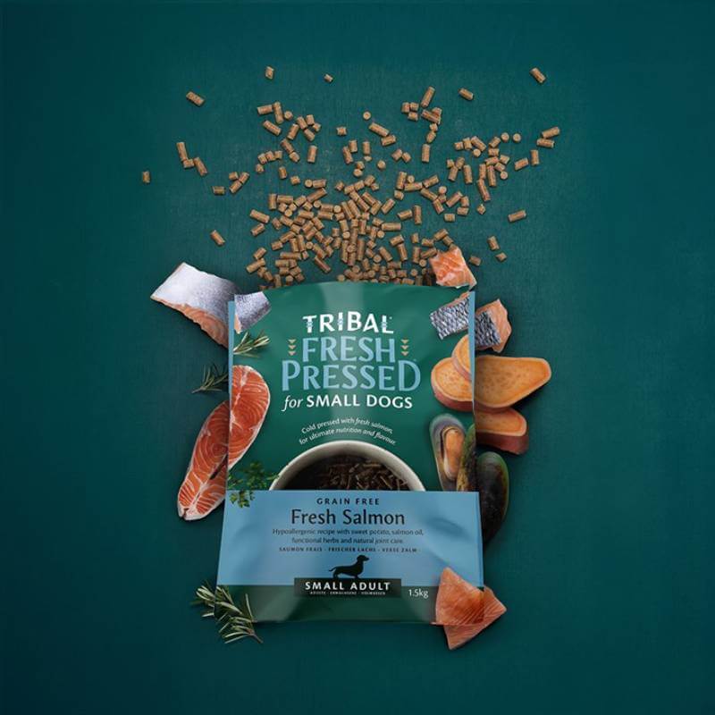 Tribal Fresh Pressed Dry Dog Food for small breeds, Salmon flavor, on a green background.