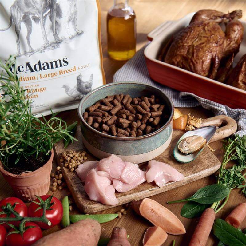 McAdams Dry Dog Food Medium/Large Breed Chicken, served with vegetables and herbs.