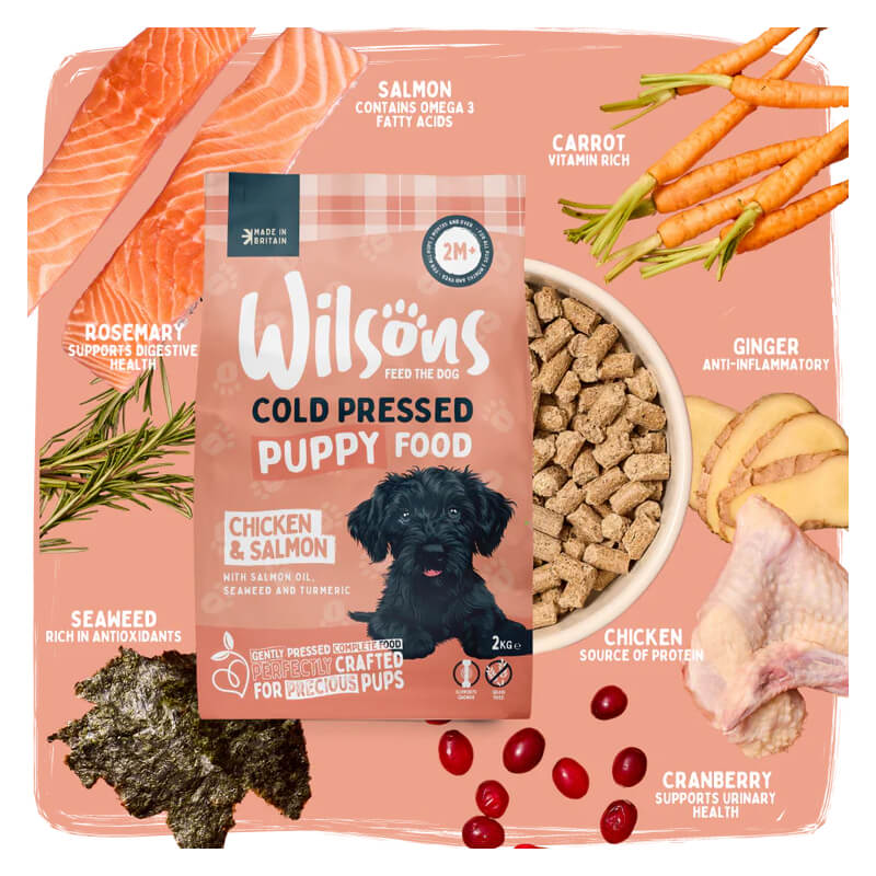 Wilsons Cold Pressed Dog Food Puppy with salmon, chicken & natural ingredients for puppies.