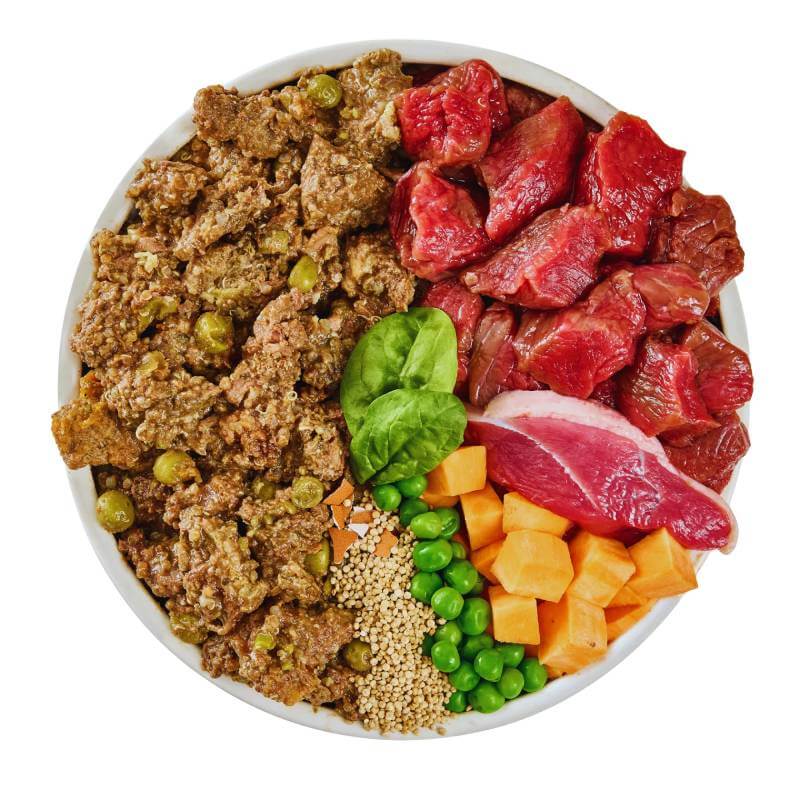 Wilsons Premium Fresh Dog Food Venison &amp; Duck 380g with peas, carrots, spinach, and seeds.