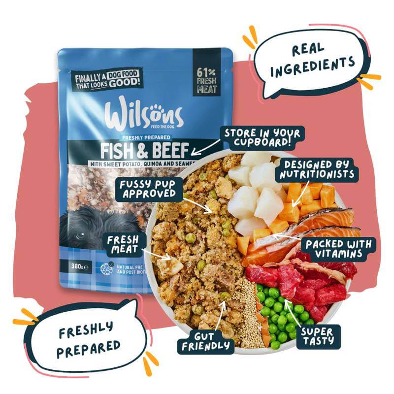 Wilsons Premium Fresh Dog Food Fish &amp; Beef 380g with real meat, veg, and fish.